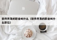 软件开发的职业叫什么（软件开发的职业叫什么职位）