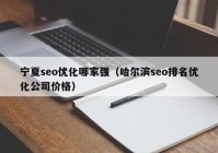 宁夏seo优化哪家强（哈尔滨seo排名优化公司价格）