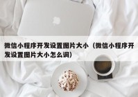 微信小程序开发设置图片大小（微信小程序开发设置图片大小怎么调）